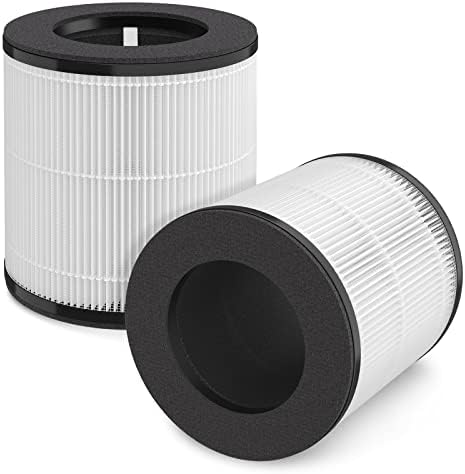2 Packs H13 True HEPA Replacement Filters Compatible with Tailulu D09S Air Cleaner Purifier